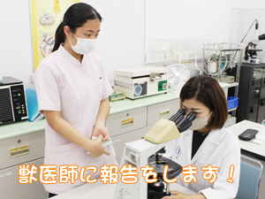 検査実習と身体検査！